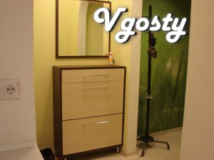 Stylish one bedroom apartment with a renovated design. - Apartments for daily rent from owners - Vgosty