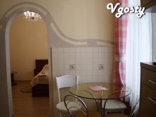 New and cozy apartment just renovated with new - Apartments for daily rent from owners - Vgosty