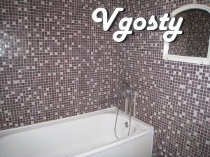 Cozy 1 bedroom apartment in the city tsetre near Parkway - Apartments for daily rent from owners - Vgosty