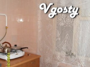 Affordable! Downtown! Daily rent to rent - Apartments for daily rent from owners - Vgosty