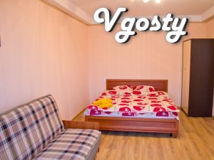 One bedroom apartment just outside the subway after repair - Apartments for daily rent from owners - Vgosty