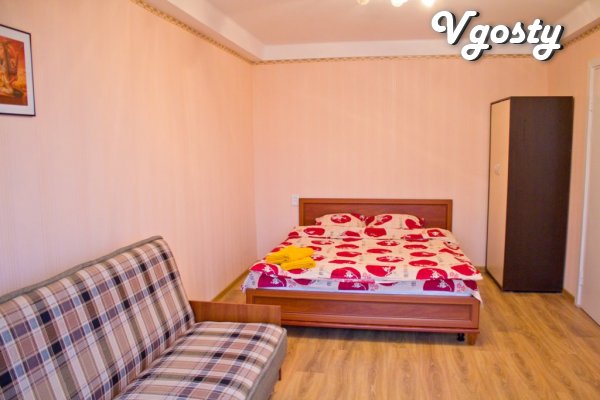One bedroom apartment just outside the subway after repair - Apartments for daily rent from owners - Vgosty