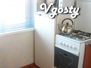 Cosy and bright apartment is right near the shopping center - Apartments for daily rent from owners - Vgosty