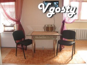 Studio apartment. Author's design. Lenin Ave / st. Garden, - Apartments for daily rent from owners - Vgosty