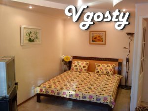 Obolonskiy prospect 15b
(2 +1 beds)
Studio - Apartments for daily rent from owners - Vgosty