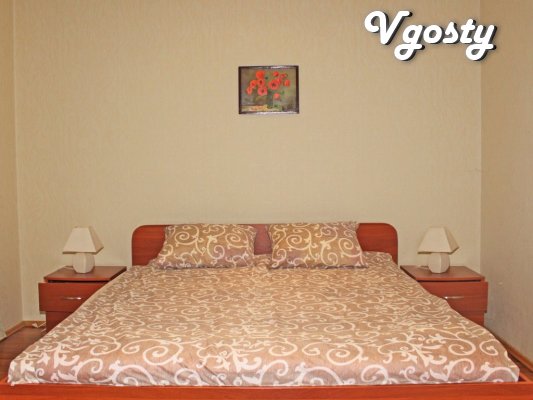 Excellent 2 bedroom apartment on the street. Pushkin.
Rooms - Apartments for daily rent from owners - Vgosty