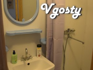Studio, kitchen utensils, clothes, documents, online, city center - Apartments for daily rent from owners - Vgosty