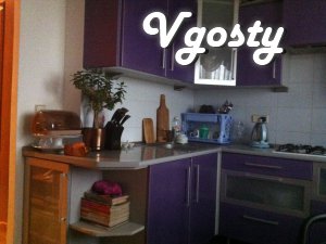 Rent a 2-storey house in the center of the city. 1500 UAH / day. - Apartments for daily rent from owners - Vgosty