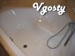 Ideal apartment with Wi-Fi in the center of - Apartments for daily rent from owners - Vgosty