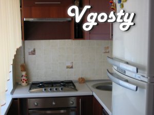 2 ka.v heart c Wi-fi and plasma - Apartments for daily rent from owners - Vgosty