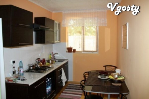Rent apartments in Beregovo. - Apartments for daily rent from owners - Vgosty