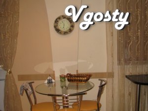 Apartment (studio) apartments, borough w / Station, windows are - Apartments for daily rent from owners - Vgosty