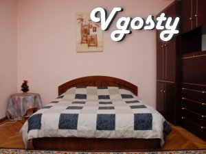 A cozy studio apartment is located opposite the Palace - Apartments for daily rent from owners - Vgosty