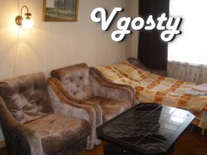 4 beds, sofa bed, 2 folding chairs, - Apartments for daily rent from owners - Vgosty