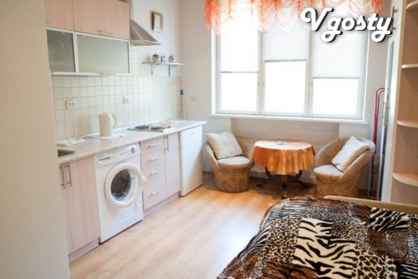 1-com. sq. "Econom-class" is not far from the city center wi - Apartments for daily rent from owners - Vgosty