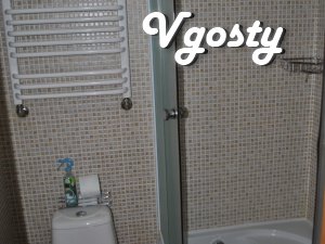 Small, cozy apartment in the heart of Lviv, in contrast - Apartments for daily rent from owners - Vgosty
