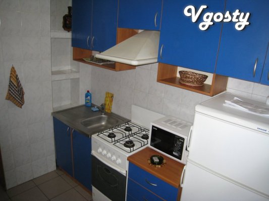 The apartment in the city center, 100 meters walk to the subway - Apartments for daily rent from owners - Vgosty