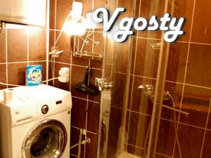 1K in the center of Lviv WiFi - Apartments for daily rent from owners - Vgosty