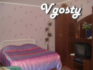 Apartment 1k. in the center of pr.Dzerzhinskogo - Apartments for daily rent from owners - Vgosty