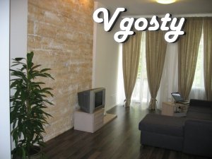 This newly renovated 2 bedroom apartment - Apartments for daily rent from owners - Vgosty