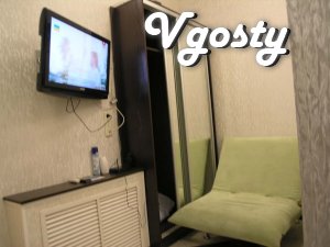 Studio + spalnya.Stilnaya cozy apartment is located in the - Apartments for daily rent from owners - Vgosty