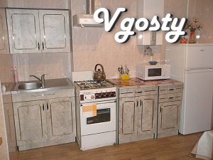 Comfortable and cozy in the heart. - Apartments for daily rent from owners - Vgosty
