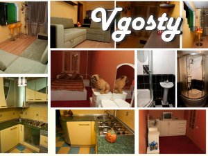 The apartment suites vtsentre city.

The apartment can comfortably - Apartments for daily rent from owners - Vgosty