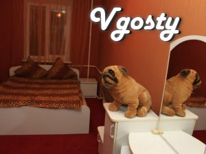 The apartment suites vtsentre city.

The apartment can comfortably - Apartments for daily rent from owners - Vgosty