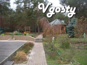 2-storey house of 200 sq.m in a pine forest in Vyshgorod - Apartments for daily rent from owners - Vgosty