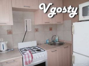 Apartment in the central part of the city, near the metro - Apartments for daily rent from owners - Vgosty