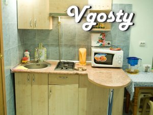 Comfortable apartment in the heart of the city! - Apartments for daily rent from owners - Vgosty