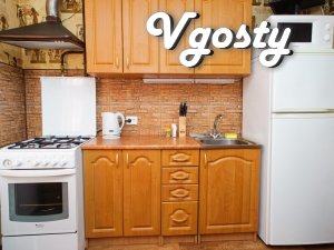 One room luxury apartment by the day - Apartments for daily rent from owners - Vgosty