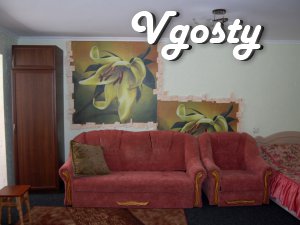 Apartment in Uman! Sofyevka-5min - Apartments for daily rent from owners - Vgosty