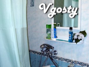 Daily! Hourly (in the afternoon)! 1-room. apartment with modern renova - Apartments for daily rent from owners - Vgosty