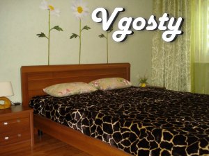 2-bedroom apartment with all amenities in the center - Apartments for daily rent from owners - Vgosty