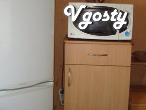 apartment on chsy, night, day - Apartments for daily rent from owners - Vgosty