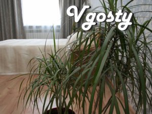 Guest House Travel House Kerch - Apartments for daily rent from owners - Vgosty