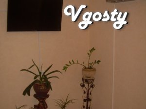 Rent an apartment. - Apartments for daily rent from owners - Vgosty