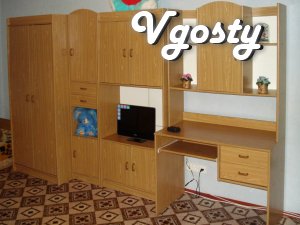 Cozy 2 bedroom apartment in the city center - Apartments for daily rent from owners - Vgosty