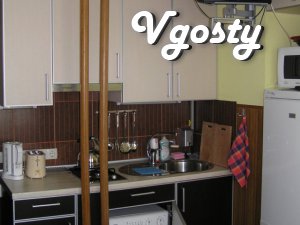 Daily 2kv square with 4 beds from 2 + 2 + 2 + 2Centre m.Sovetskaya - Apartments for daily rent from owners - Vgosty