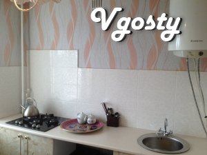 day in the center, all amenities - Apartments for daily rent from owners - Vgosty