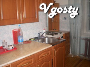 Cool apartment in the city center - Apartments for daily rent from owners - Vgosty