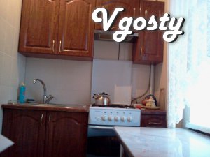 Cozy, well maintained apartment with all amenities - Apartments for daily rent from owners - Vgosty