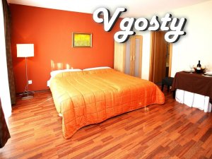 Terracotta studio apartment in the city center for 3 persons - Apartments for daily rent from owners - Vgosty