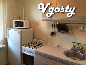 Un appartamento in un luogo tranquillo e confortevole - Appartamenti in affitto dal proprietario - Vgosty