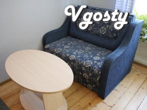 4 bedroom apartment - Apartments for daily rent from owners - Vgosty
