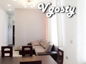Trehkomnatnaya apartment vozle Opera - Apartments for daily rent from owners - Vgosty
