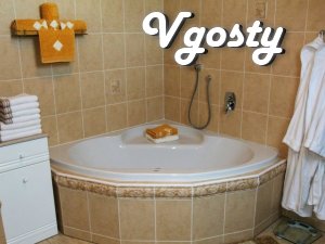 Sdayu uyutnuyu two-room apartment in the city of Central parts for 4 - Apartments for daily rent from owners - Vgosty
