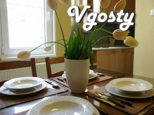 Dvuhkomnatnыe Apartments in style kynofylma - Apartments for daily rent from owners - Vgosty