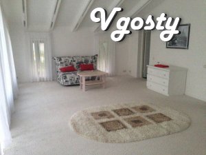 Modern Scandinavian Style Mansion in - Apartments for daily rent from owners - Vgosty